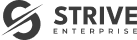 Image Logo striveenterprise